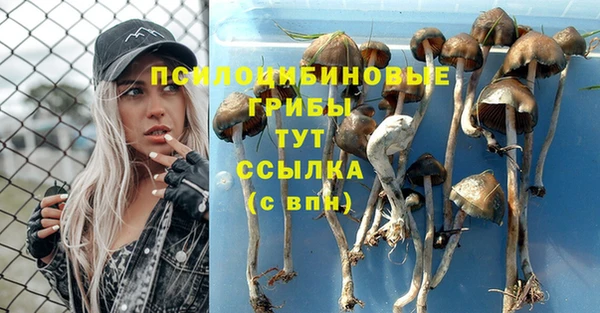 спиды Белоозёрский