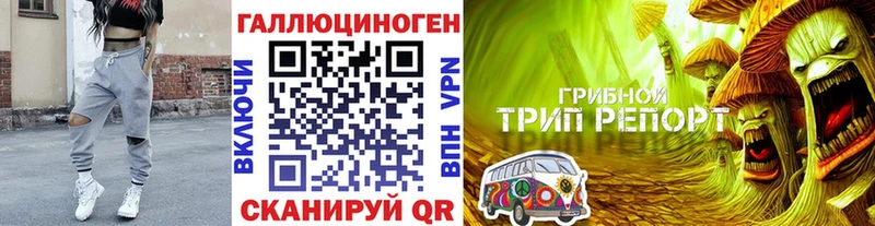 Псилоцибиновые грибы Magic Shrooms  MEGA   Острогожск 